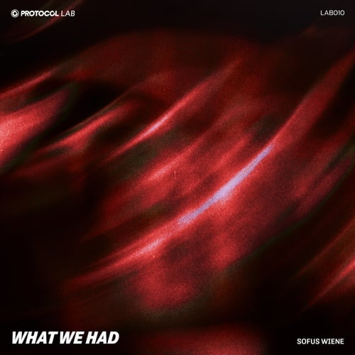 Protocol Lab, Sofus Wiene-What We Had