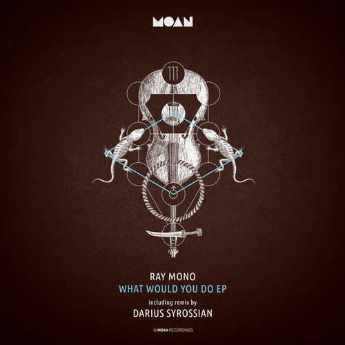 Ray Mono, Darius Syrossian-What Would You Do EP