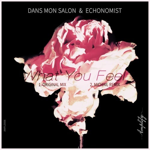 Dans Mon Salon, Echonomist, Michail-What you feel