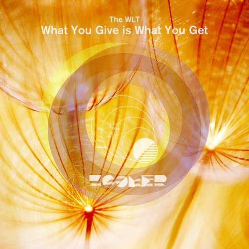 The WLT-What You Give Is What You Get