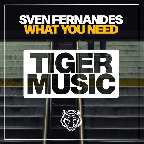 Sven Fernandes-What You Need