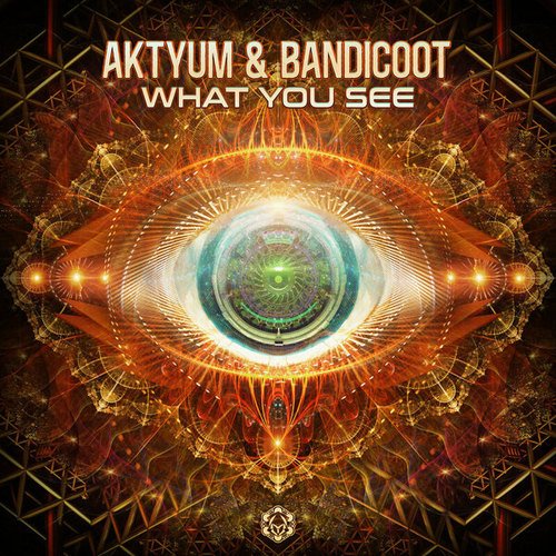 Aktyum & Bandicoot (ARG)-What You See