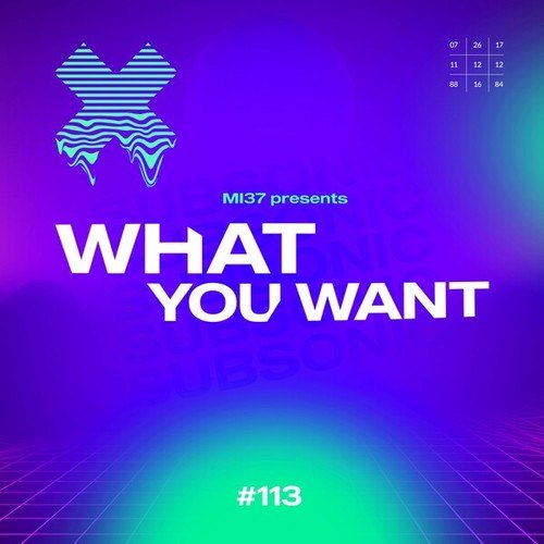 MI37-What You Want (Extended)