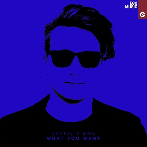 Gavril, DMC-What You Want