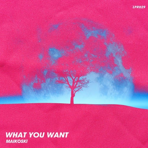 Maikoski-What You Want