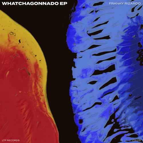 Franky Rizardo-Whatchagonnado EP