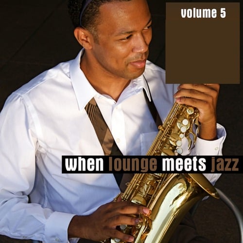 Various Artists-When Lounge Meets Jazz, Vol. 5