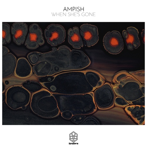 Ampish-When She's Gone