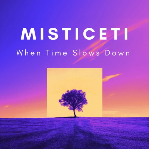Misticeti-When Time Slows Down