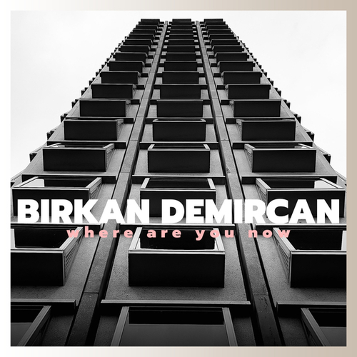 Birkan Demircan-Where Are You Now