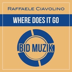 Where Does It Go - Raffaele Ciavolino