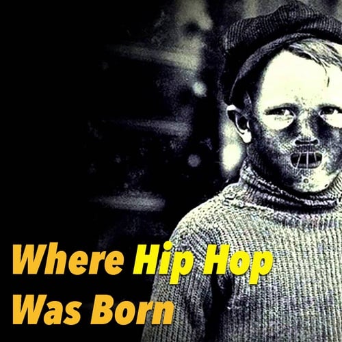 Various Artists-Where Hip Hop Was Born
