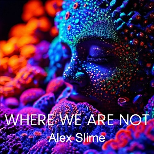 Alex Slime-Where We Are Not