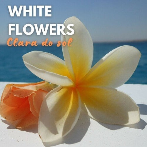 Clara Do Sol-White Flowers