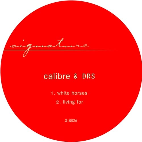 Calibre, DRS-white horses / living for