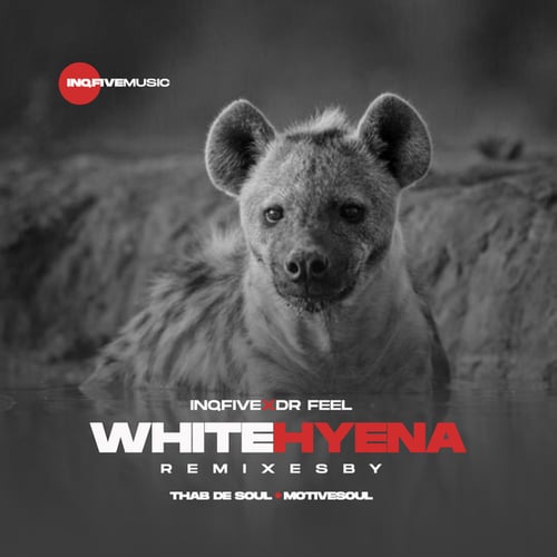 InQfive, Dr Feel, Thab De Soul-White Hyena