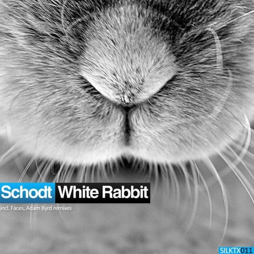 Schodt, Faces, Adam Byrd-White Rabbit