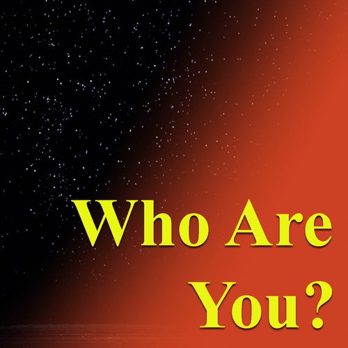 Various Artists-Who Are You?