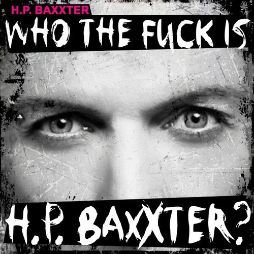 H.P. Baxxter-Who the Fuck Is H.P. Baxxter?