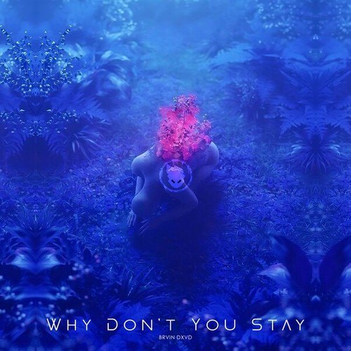 BRVINDXVD-Why Don't You Stay