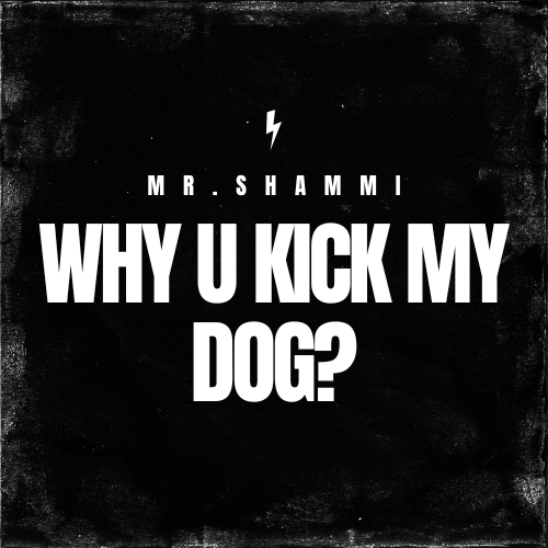 Why U Kick M,y Dog?