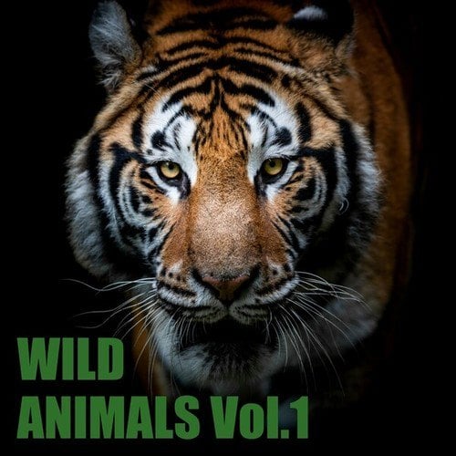 Various Artists-Wild Animals, Vol. 1