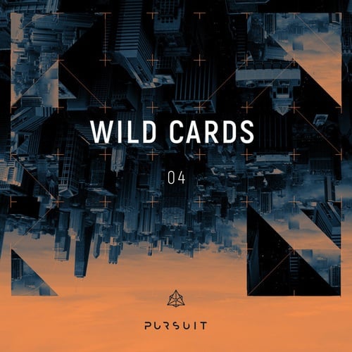 Wild Cards 04