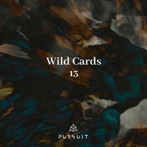 Subgate, Masella, Radoon, Joey White-Wild Cards 13