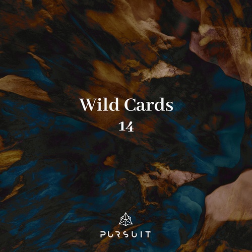 Elusive Mind, 2088-Wild Cards 14