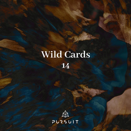 Wild Cards 14