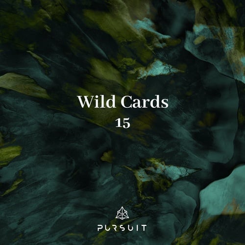 FiveP, Naji Arun, Cayto, Mind Cribs, Suit 9-Wild Cards 15