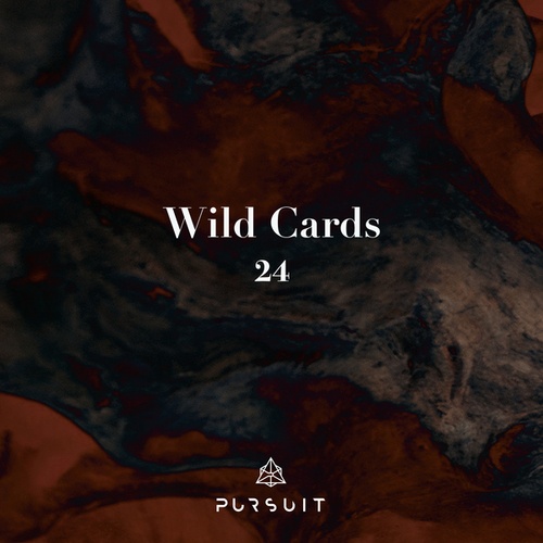 Wild Cards 24