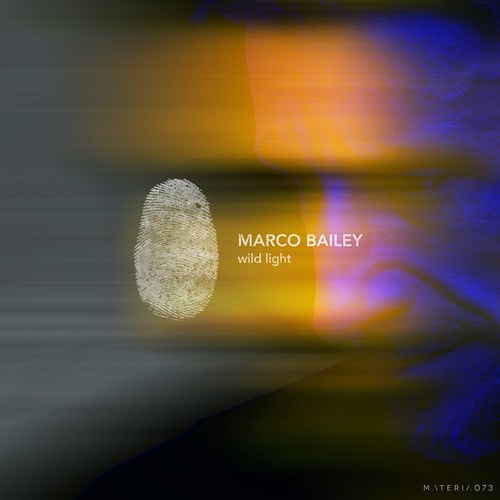 Marco Bailey-Wild Light