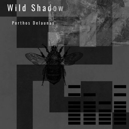 Porthos Delaunay-Wild Shadow