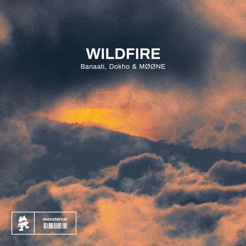 Wildfire