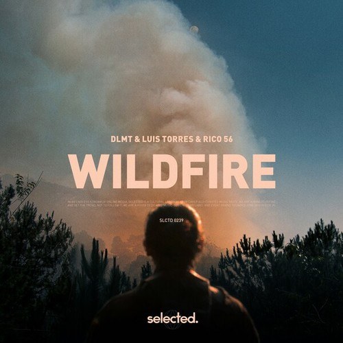 DLMT, Luis Torres-Wildfire