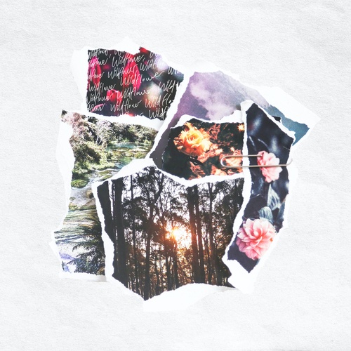 Edapollo, Marley Carroll-Wildflower