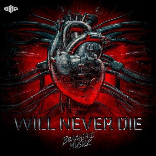BMG-Will Never Die