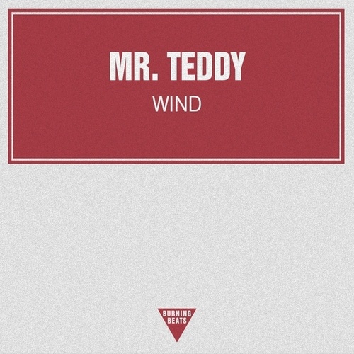 Mr. Teddy-Wind
