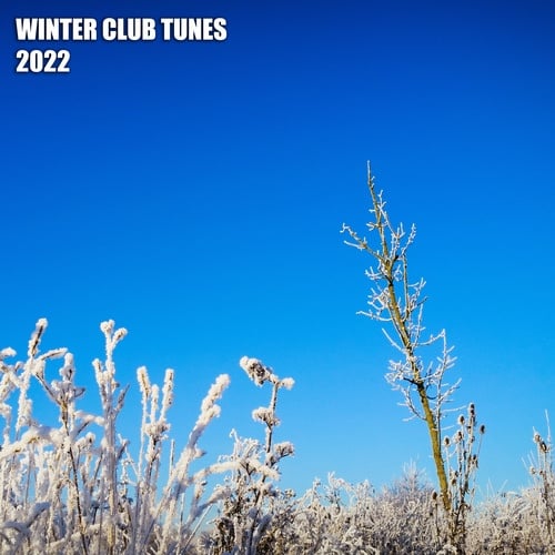 Various Artists-Winter Club Tunes 2022