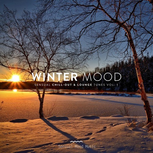 Various Artists-Winter Mood, Vol. 1