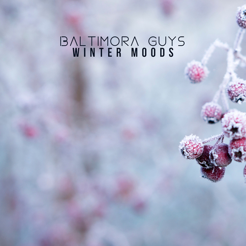 Baltimora Guys-Winter Moods