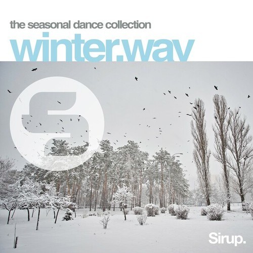 Various Artists-winter.wav (The Seasonal Dance Collection)