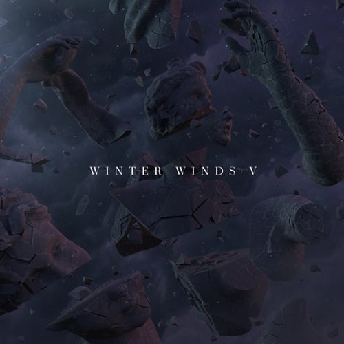 Various Artists-WINTER WINDS, Vol. 5