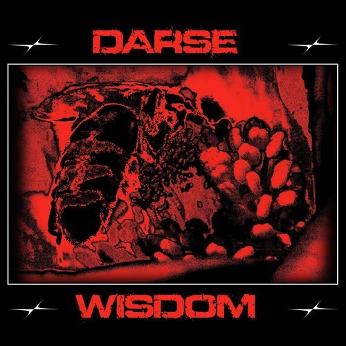 Darse, Ssaliva, S S S S-Wisdom