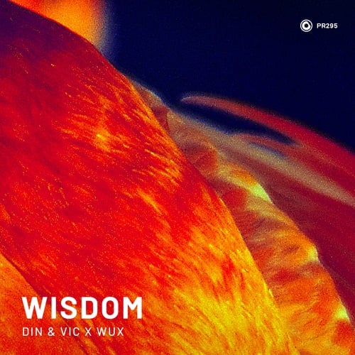 Wux, Din & Vic-Wisdom