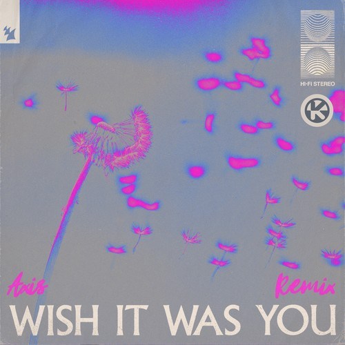 Wish It Was You (Axis Remix)
