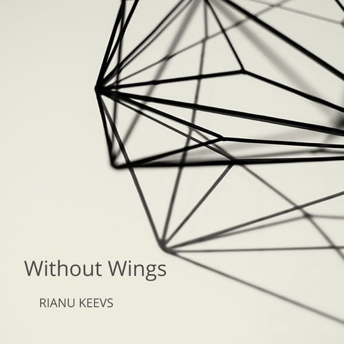 Rianu Keevs-Without Wings