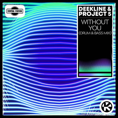 Without You (Drum & Bass Mix)