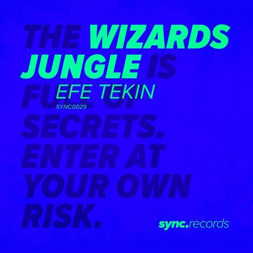Efe Tekin-Wizards Jungle